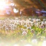 constructeur maison 72 - 6 (1) constructeur maison 72 - 6 (1)